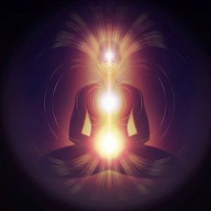 Meet your Posher, Cherie